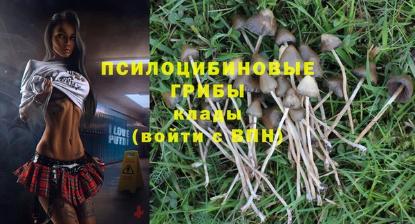 прущая мука Медногорск
