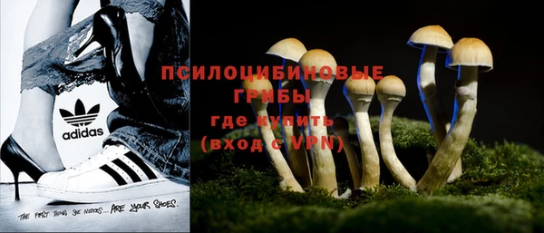 трава Верхний Тагил