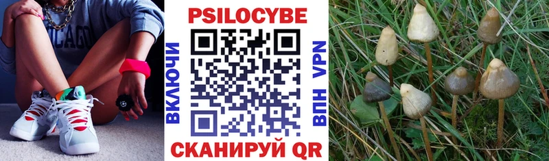 МЕГА сайт  Вихоревка  Галлюциногенные грибы прущие грибы  сколько стоит 